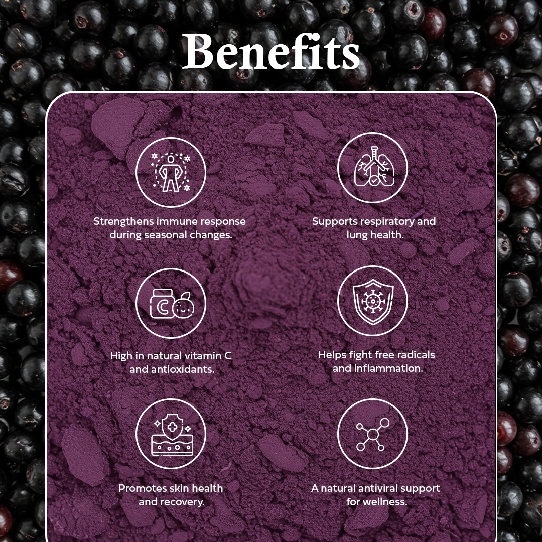 100g Elderberry Juice Powder