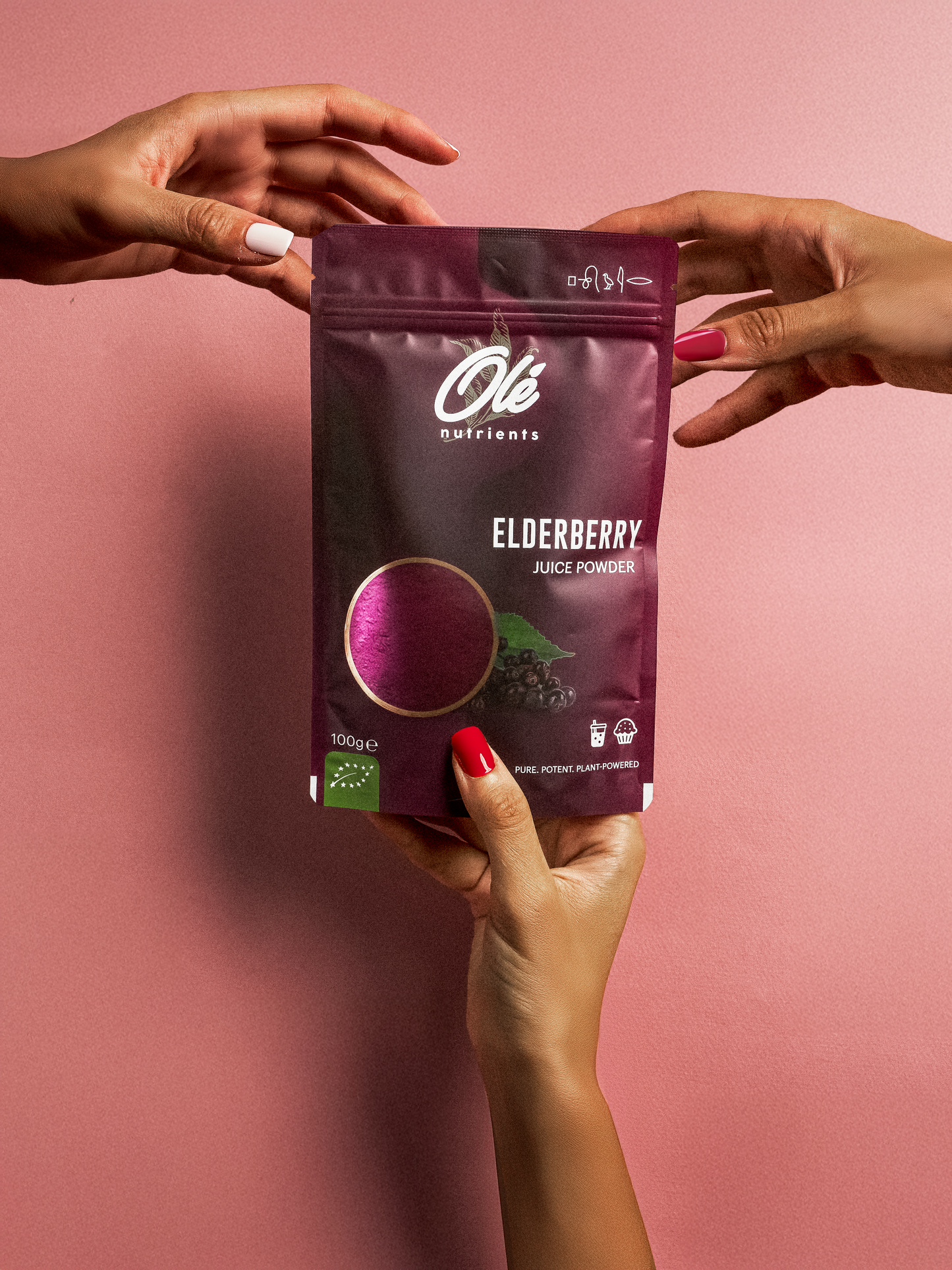 100g Elderberry Juice Powder