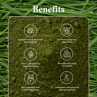 100g Barley Grass Juice Powder
