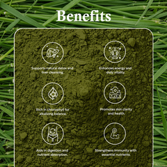 Barley Grass Juice Powder 100g