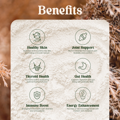 Raw Wildcrafted Sea Moss Powder 100g