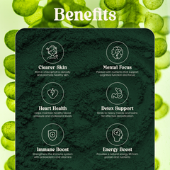 Chlorella Powder 100g