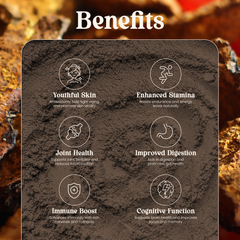 Raw Himalayan Shilajit Powder 100g