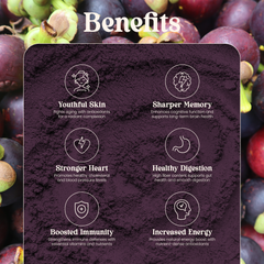 Organic Açaí Berry Freeze-Dried Powder 100g