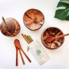 Coconut Bowl - 14 oz