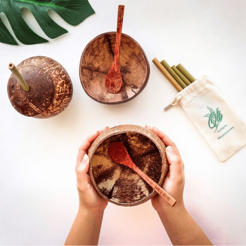 Coconut Bowl - 14 oz